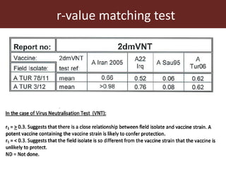 Foot-and-mouth disease: Control and vaccination
