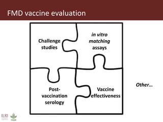 Foot-and-mouth disease: Control and vaccination