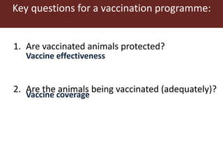 Foot-and-mouth disease: Control and vaccination