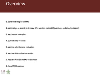 Foot-and-mouth disease: Control and vaccination
