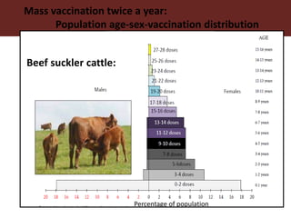 Foot-and-mouth disease: Control and vaccination
