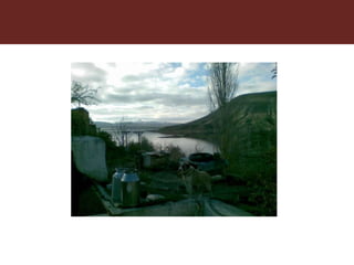 Foot-and-mouth disease: Control and vaccination