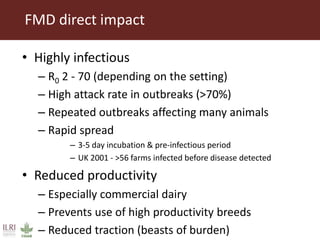 Foot-and-mouth disease: Control and vaccination