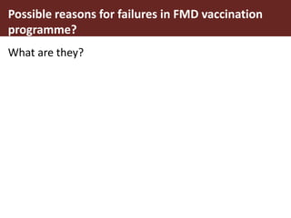Foot-and-mouth disease: Control and vaccination