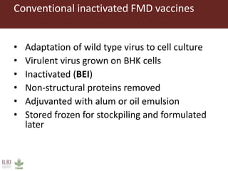 Foot-and-mouth disease: Control and vaccination