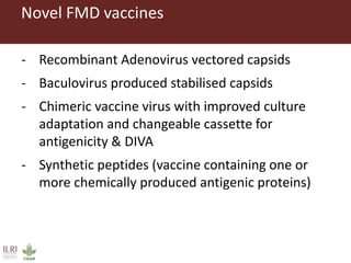 Foot-and-mouth disease: Control and vaccination