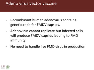 Foot-and-mouth disease: Control and vaccination