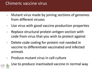 Foot-and-mouth disease: Control and vaccination