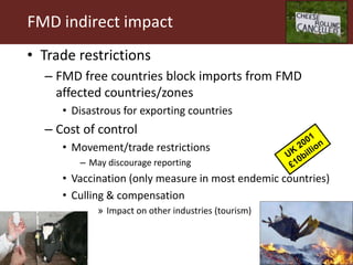 Foot-and-mouth disease: Control and vaccination