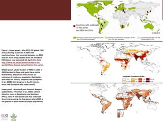 Foot-and-mouth disease: Control and vaccination