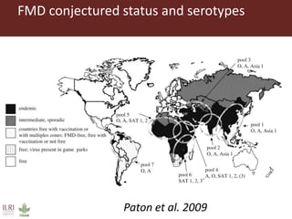 Foot-and-mouth disease: Control and vaccination