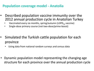 Mass vaccination, immunity and coverage: Modelling population protection against foot-and-mouth disease in Turkish cattle