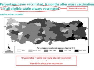 Mass vaccination, immunity and coverage: Modelling population protection against foot-and-mouth disease in Turkish cattle