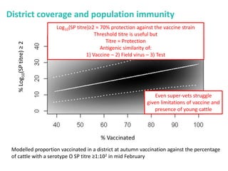 Mass vaccination, immunity and coverage: Modelling population protection against foot-and-mouth disease in Turkish cattle