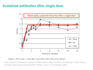 Mass vaccination, immunity and coverage: Modelling population protection against foot-and-mouth disease in Turkish cattle