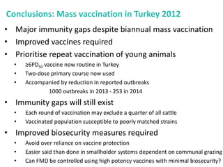 Mass vaccination, immunity and coverage: Modelling population protection against foot-and-mouth disease in Turkish cattle