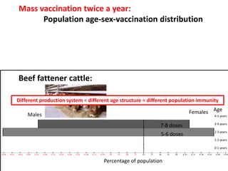 Mass vaccination, immunity and coverage: Modelling population protection against foot-and-mouth disease in Turkish cattle