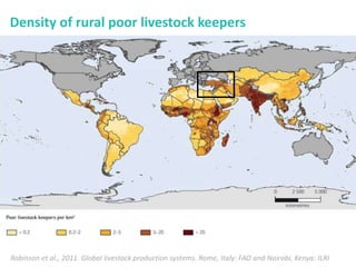 Mass vaccination, immunity and coverage: Modelling population protection against foot-and-mouth disease in Turkish cattle