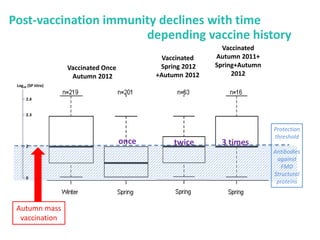 Mass vaccination, immunity and coverage: Modelling population protection against foot-and-mouth disease in Turkish cattle