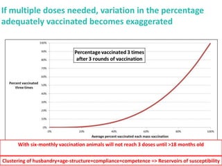 Mass vaccination, immunity and coverage: Modelling population protection against foot-and-mouth disease in Turkish cattle
