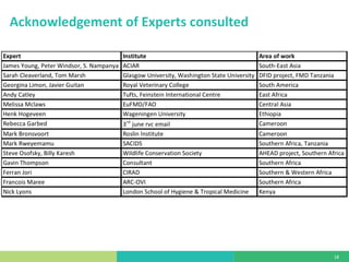 What do we know about the economic impact of foot and mouth disease in smallholder production? Summary of the evidence