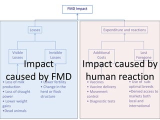 What do we know about the economic impact of foot and mouth disease in smallholder production? Summary of the evidence