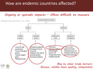 Foot and mouth disease (FMD) impact in endemic countries