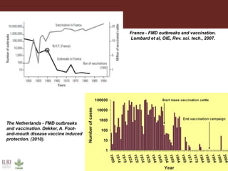 Foot and mouth disease (FMD) impact in endemic countries