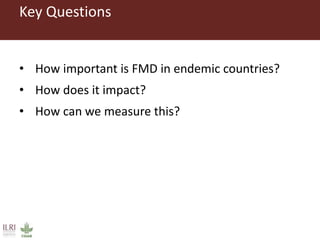 Foot and mouth disease (FMD) impact in endemic countries