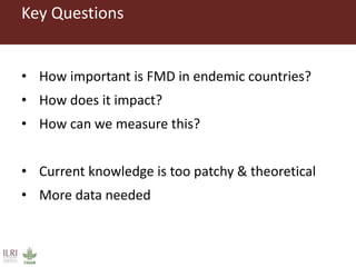 Foot and mouth disease (FMD) impact in endemic countries
