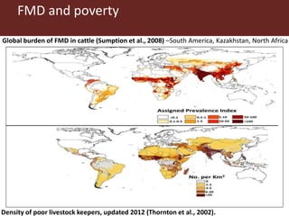 Foot and mouth disease (FMD) impact in endemic countries