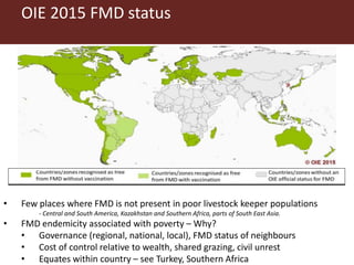 Foot and mouth disease (FMD) impact in endemic countries