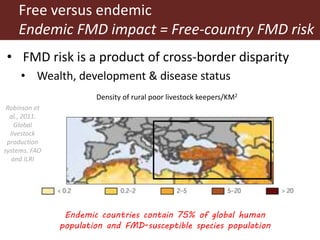 Foot and mouth disease (FMD) impact in endemic countries