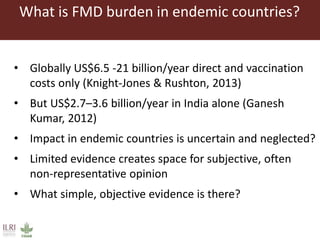 Foot and mouth disease (FMD) impact in endemic countries