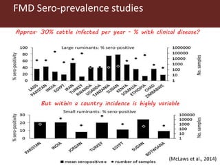 Foot and mouth disease (FMD) impact in endemic countries