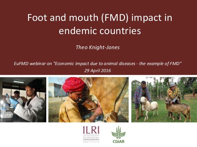 Foot And Mouth Disease FMD Impact In Endemic Countries