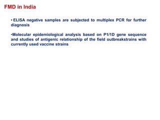 • ELISA negative samples are subjected to multiplex PCR for further
diagnosis
•Molecular epidemiological analysis based on P1/1D gene sequence
and studies of antigenic relationship of the field outbreakstrains with
currently used vaccine strains
FMD in India
 