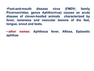 •Foot-and-mouth disease virus (FMDV; family
Picornaviridae; genus Aphthovirus) causes an acute
disease of cloven-hoofed animals characterized by
fever, lameness and vesicular lesions of the feet,
tongue, snout and teats.
• other names: Aphthous fever, Aftosa, Epizootic
aphthae
 