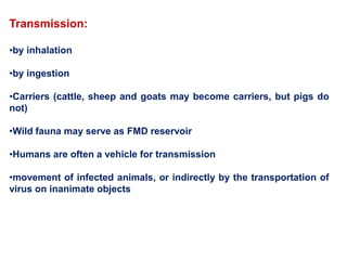 Transmission:
•by inhalation
•by ingestion
•Carriers (cattle, sheep and goats may become carriers, but pigs do
not)
•Wild fauna may serve as FMD reservoir
•Humans are often a vehicle for transmission
•movement of infected animals, or indirectly by the transportation of
virus on inanimate objects
 