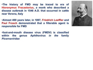 •The history of FMD may be traced to era of
Hieronymus Fracastorius, a monk who described a
disease outbreak in 1546 A.D. that occurred in cattle
near Verona, Italy
•Almost 400 years later, in 1897, Friedrich Loeffler and
Paul Frosch demonstrated that a filterable agent is
responsible for FMD
•foot-and-mouth disease virus (FMDV) is classified
within the genus Aphthovirus in the family
Picornaviridae
 