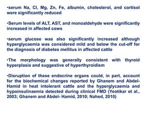 •serum Na, Cl, Mg, Zn, Fe, albumin, cholesterol, and cortisol
were significantly reduced
•Serum levels of ALT, AST, and monoaldehyde were significantly
increased in affected cows
•serum glucose was also significantly increased although
hyperglycaemia was considered mild and below the cut-off for
the diagnosis of diabetes mellitus in affected cattle
•The morphology was generally consistent with thyroid
hyperplasia and suggestive of hyperthyroidism
•Disruption of these endocrine organs could, in part, account
for the biochemical changes reported by Ghanem and Abdel-
Hamid in heat intolerant cattle and the hyperglycaemia and
hypoinsulinaemia detected during clinical FMD (Yeotikar et al.,
2003; Ghanem and Abdel- Hamid, 2010; Nahed, 2010)
 