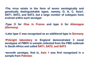 •The virus exists in the form of seven serologically and
genetically distinguishable types, namely, O, A, C, Asia1,
SAT1, SAT2, and SAT3, but a large number of subtypes have
evolved within each serotype
•Type O for Oise in France and type A for Allemagne
(Germany)
•Later type C was recognized as an additional type in Germany
•Pirbright laboratory in England demonstrated 3 novel
serotypes of FMDV in sample collected from the FMD outbreak
in South Africa and called SAT1, SAT2, and SAT3
•seventh serotype, that is, Asia 1 was first recognized in a
sample from Pakistan
 