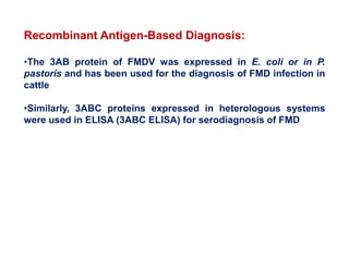 Recombinant Antigen-Based Diagnosis:
•The 3AB protein of FMDV was expressed in E. coli or in P.
pastoris and has been used for the diagnosis of FMD infection in
cattle
•Similarly, 3ABC proteins expressed in heterologous systems
were used in ELISA (3ABC ELISA) for serodiagnosis of FMD
 