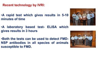 •A rapid test which gives results in 5-10
minutes of time
•A laboratory based test- ELISA which
gives results in 3 hours
•Both the tests can be used to detect FMD-
NSP antibodies in all species of animals
susceptible to FMD.
Recent technology by IVRI:
 