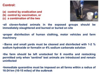 Control:
(a) control by eradication and
(b) control by vaccination, or
(c) a combination of the two
•all cloven-footed animals in the exposed groups should be
immediately slaughtered and burned or buried on site
•proper disinfection of human clothing, motor vehicles and farm
machinery
• Barns and small yards must be cleaned and disinfected with 1-2 %
sodium hydroxide or formalin or 4% sodium carbonate solution
•the farm should be left unstocked for 6 months and restocking
permitted only when 'sentinel' test animals are introduced and remain
uninfected
•Immediate quarantine must be imposed on all farms within a radius of
16-24 km (10-15 miles) of the outbreak
 