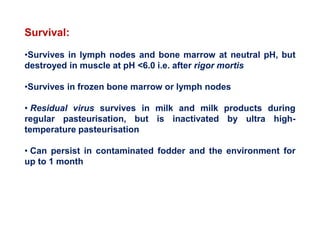 Survival:
•Survives in lymph nodes and bone marrow at neutral pH, but
destroyed in muscle at pH <6.0 i.e. after rigor mortis
•Survives in frozen bone marrow or lymph nodes
• Residual virus survives in milk and milk products during
regular pasteurisation, but is inactivated by ultra high-
temperature pasteurisation
• Can persist in contaminated fodder and the environment for
up to 1 month
 