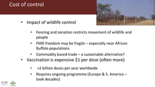 Foot-and-mouth disease impact studies