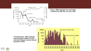 Foot-and-mouth disease impact studies