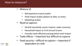 Foot-and-mouth disease impact studies