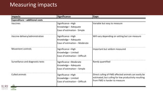 Foot-and-mouth disease impact studies